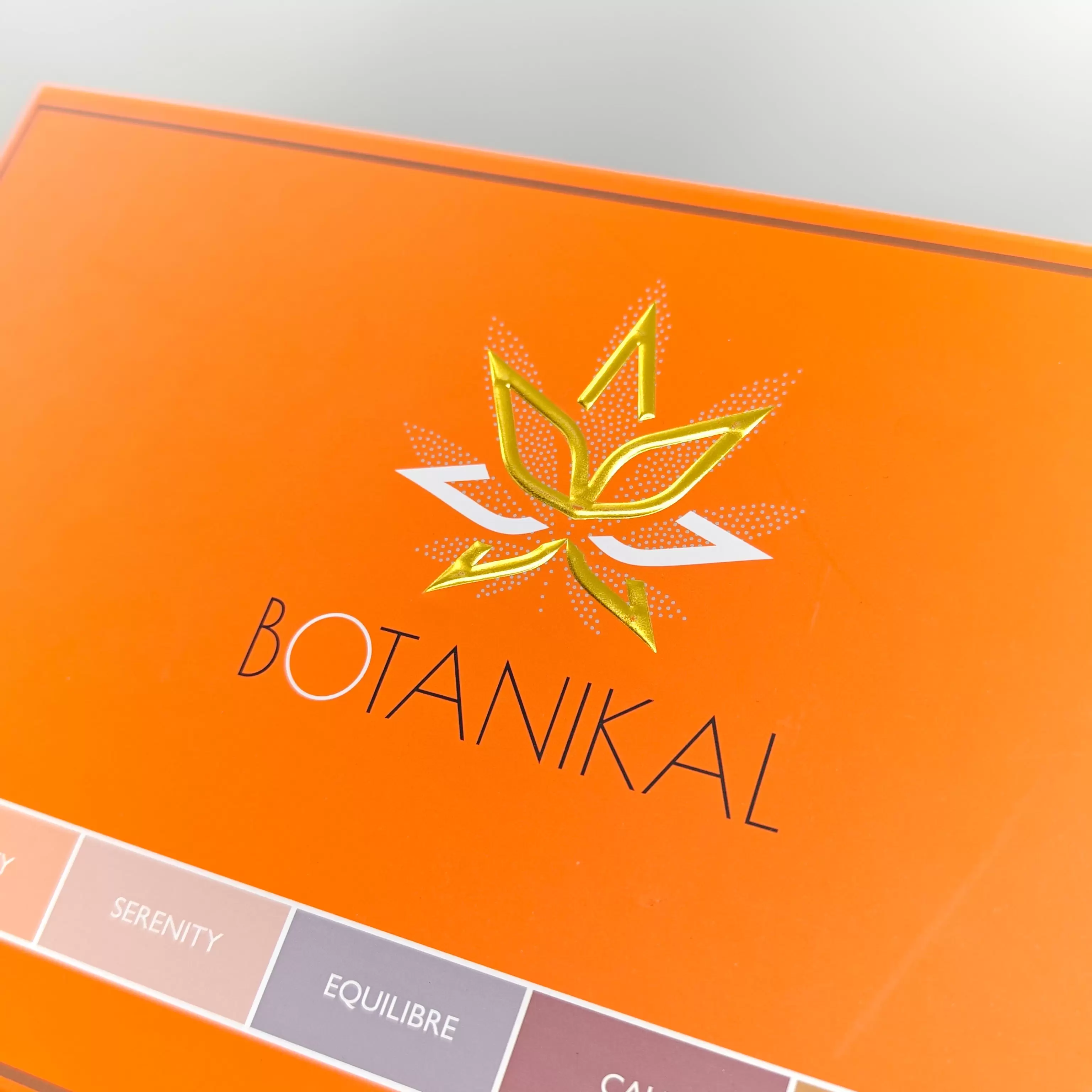 인쇄된 자석 상자 인쇄된 자석 상자